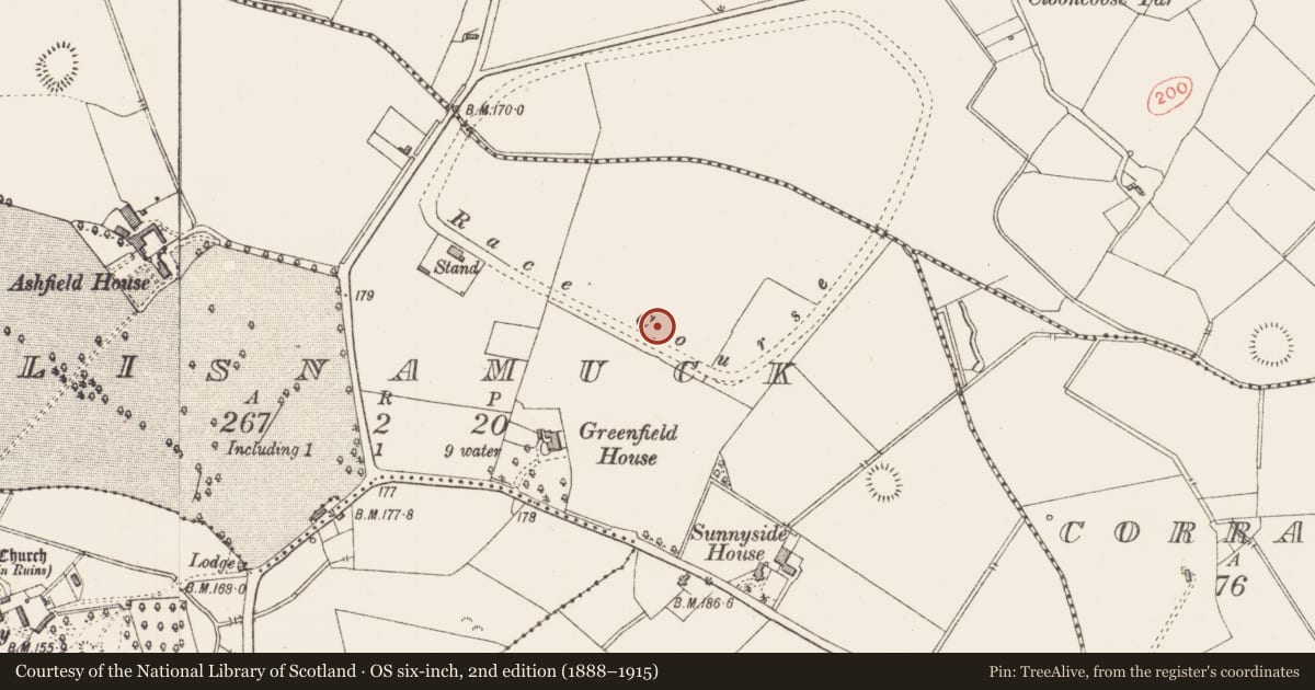 Ordnance Survey six-inch map, 2nd edition (1888–1915) covering the location of Burnt mound, Lisnamuck, County Longford, with a pin at the register's coordinates
