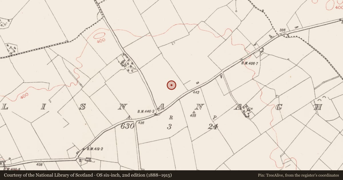 Ordnance Survey six-inch map, 2nd edition (1888–1915) covering the location of Enclosure, Lisnanagh, County Longford, with a pin at the register's coordinates