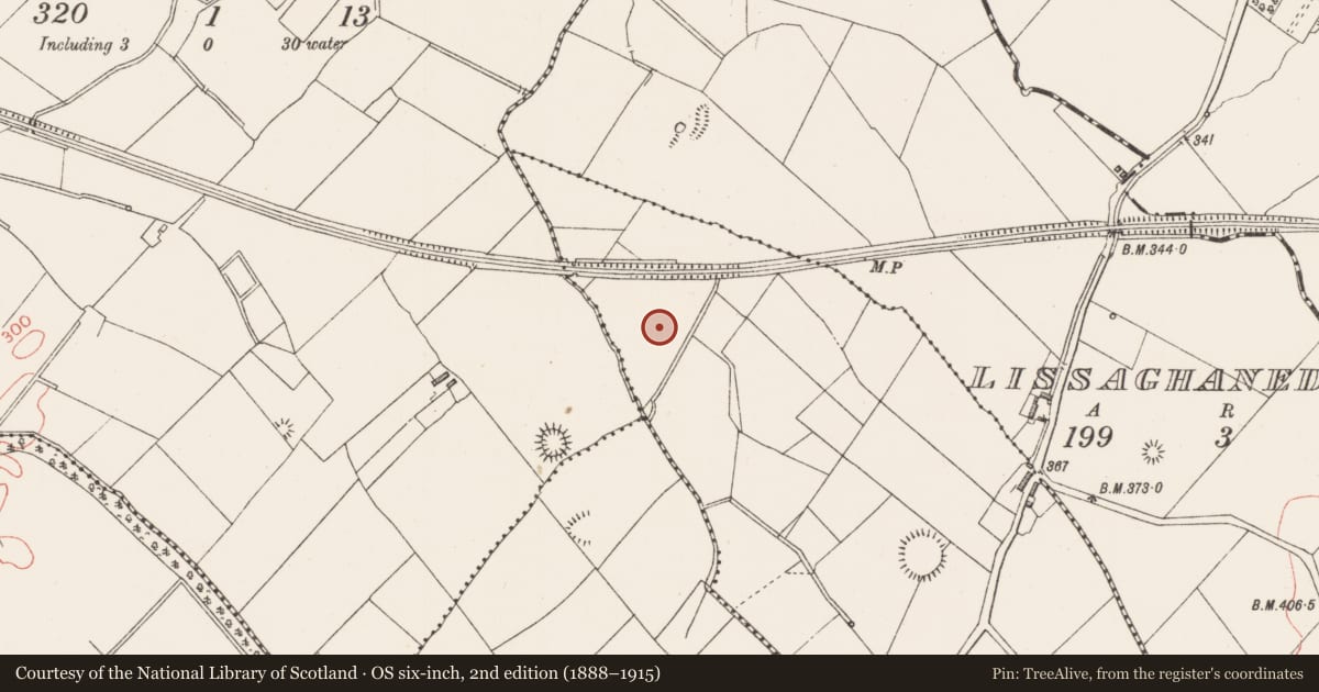 Ordnance Survey six-inch map, 2nd edition (1888–1915) covering the location of Enclosure, Treel, County Longford, with a pin at the register's coordinates