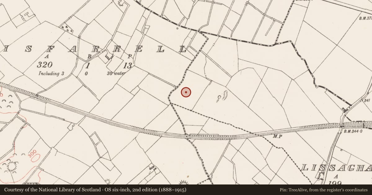 Ordnance Survey six-inch map, 2nd edition (1888–1915) covering the location of Earthwork, Lissaghanedan, County Longford, with a pin at the register's coordinates