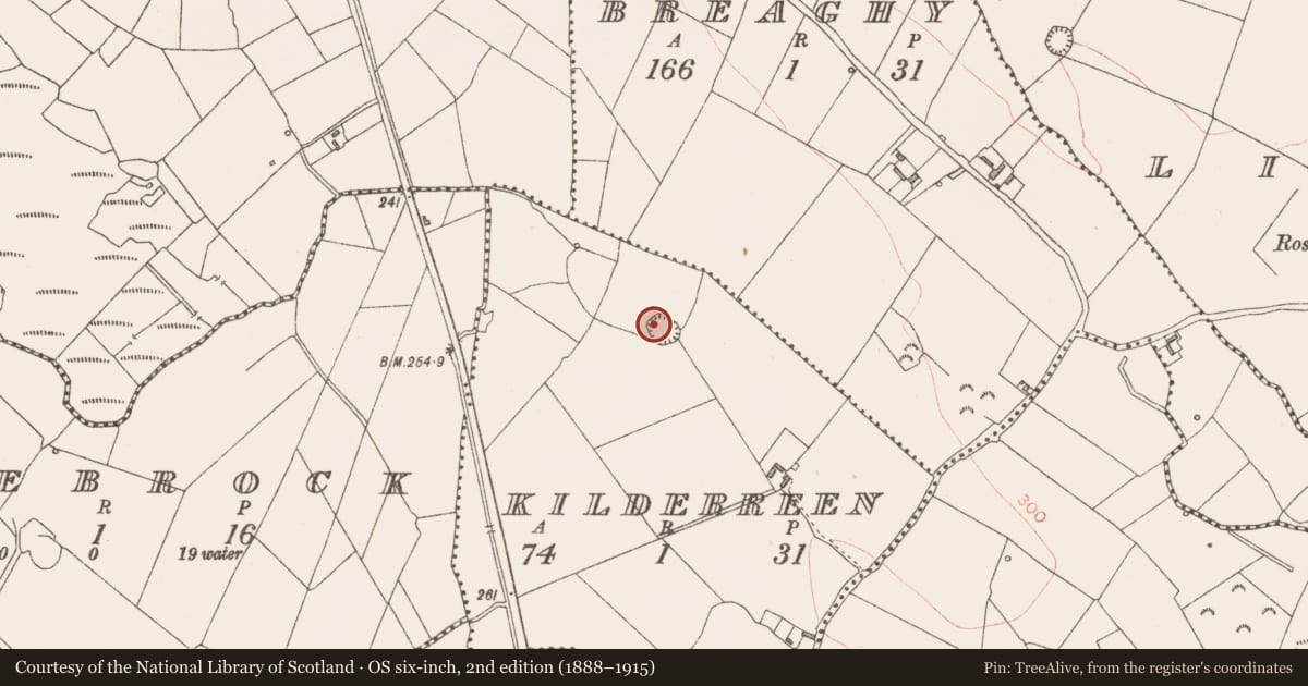 Ordnance Survey six-inch map, 2nd edition (1888–1915) covering the location of Ringfort - rath, Kilderreen, County Longford, with a pin at the register's coordinates