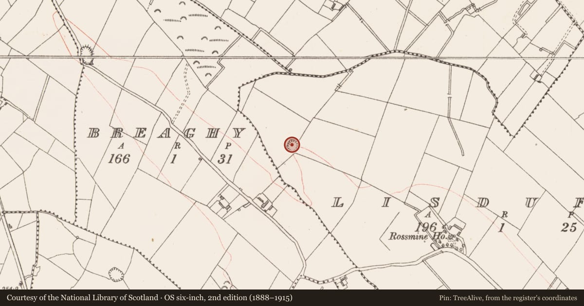 Ordnance Survey six-inch map, 2nd edition (1888–1915) covering the location of Ringfort - rath, Lisduff, County Longford, with a pin at the register's coordinates