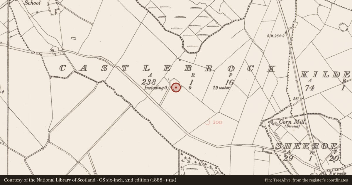 Ordnance Survey six-inch map, 2nd edition (1888–1915) covering the location of Ringfort - rath, Castlebrock, County Longford, with a pin at the register's coordinates