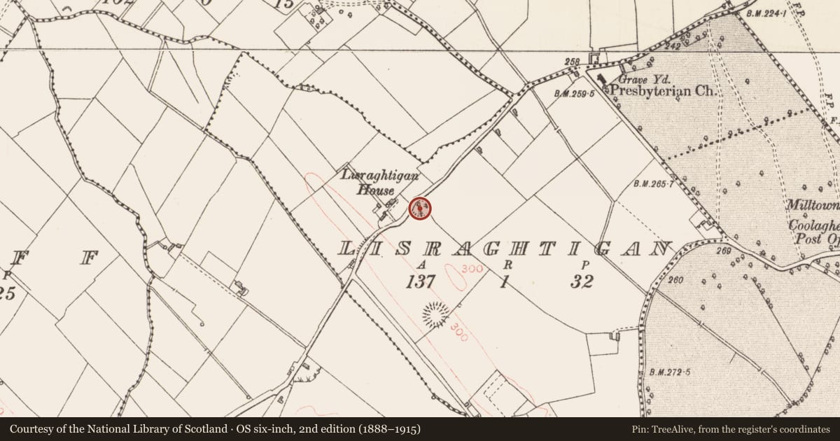 Ordnance Survey six-inch map, 2nd edition (1888–1915) covering the location of Ringfort - rath, Lisraghtigan, County Longford, with a pin at the register's coordinates