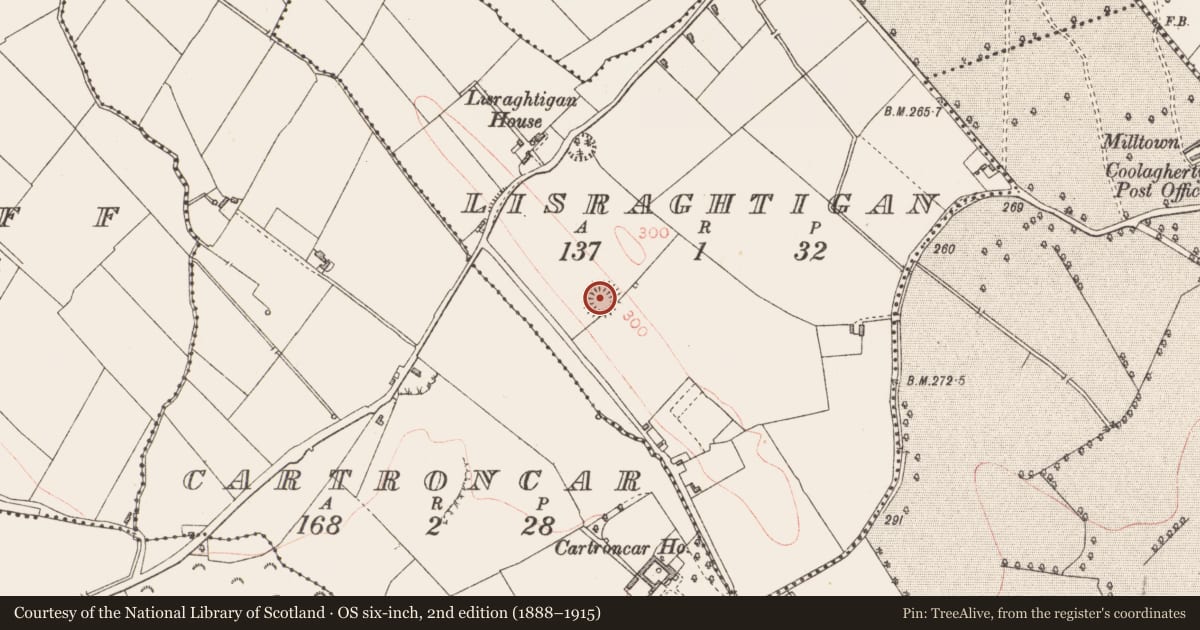Ordnance Survey six-inch map, 2nd edition (1888–1915) covering the location of Ringfort - rath, Lisraghtigan, County Longford, with a pin at the register's coordinates