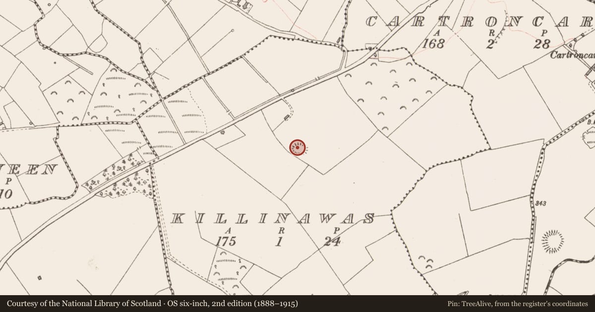 Ordnance Survey six-inch map, 2nd edition (1888–1915) covering the location of Ringfort - rath, Killinawas, County Longford, with a pin at the register's coordinates