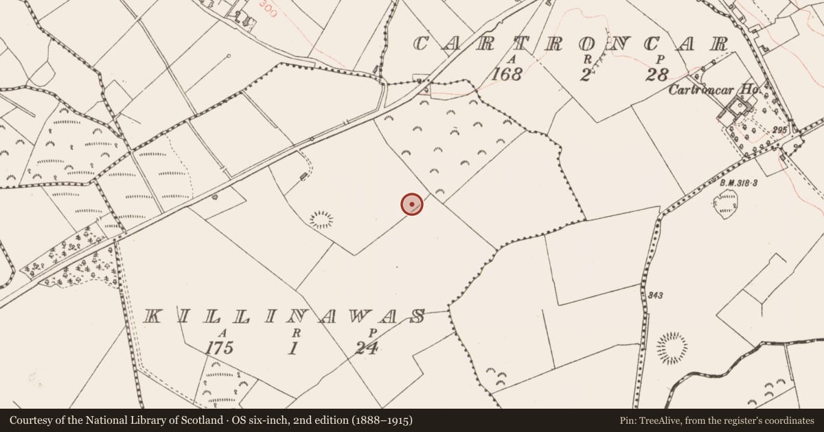 Ordnance Survey six-inch map, 2nd edition (1888–1915) covering the location of Ringfort - rath, Killinawas, County Longford, with a pin at the register's coordinates