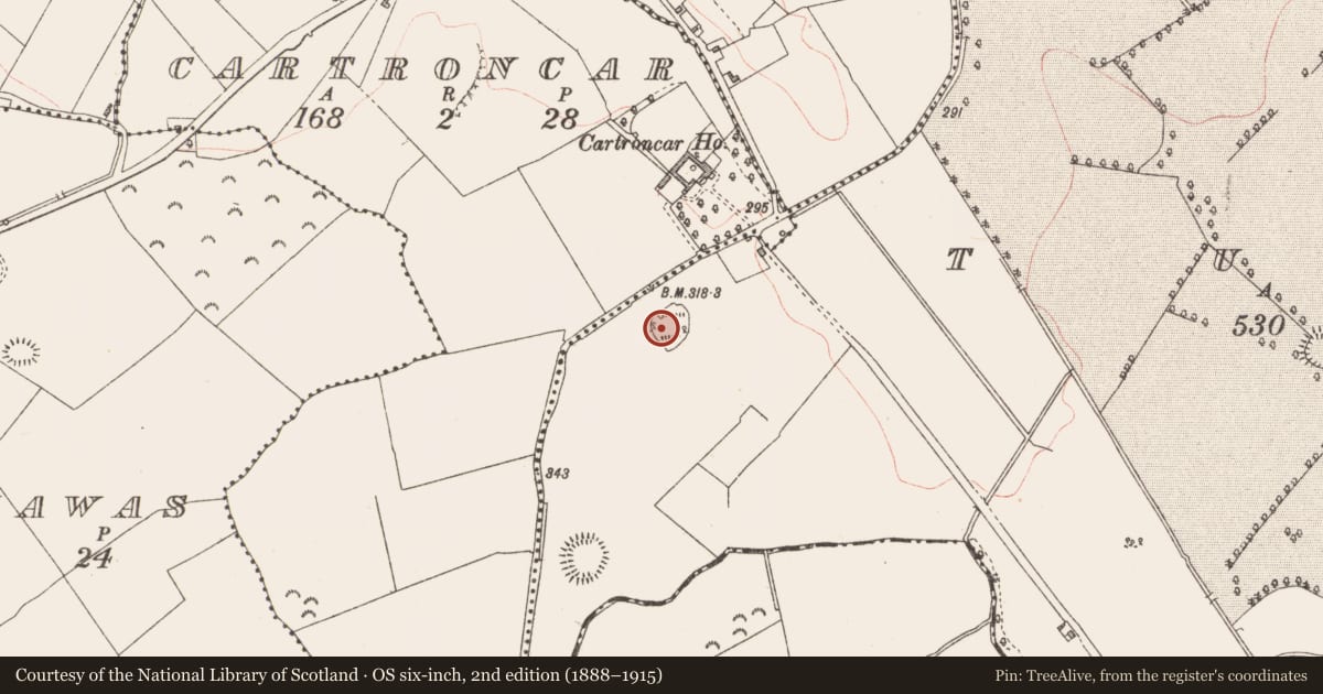 Ordnance Survey six-inch map, 2nd edition (1888–1915) covering the location of Ringfort - rath, Tully, County Longford, with a pin at the register's coordinates