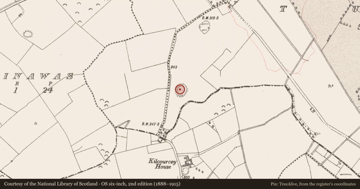 Ordnance Survey six-inch map, 2nd edition (1888–1915) covering the location of Ringfort - rath, Tully, County Longford, with a pin at the register's coordinates