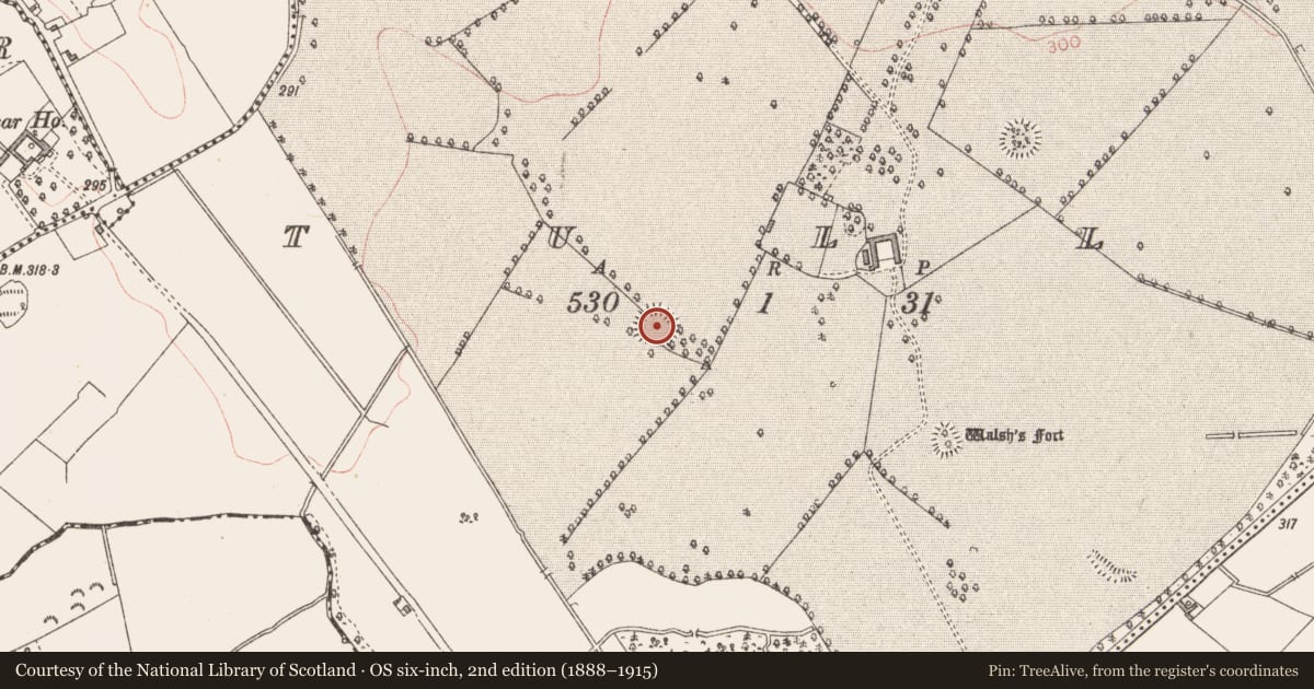 Ordnance Survey six-inch map, 2nd edition (1888–1915) covering the location of Ringfort - rath, Tully, County Longford, with a pin at the register's coordinates