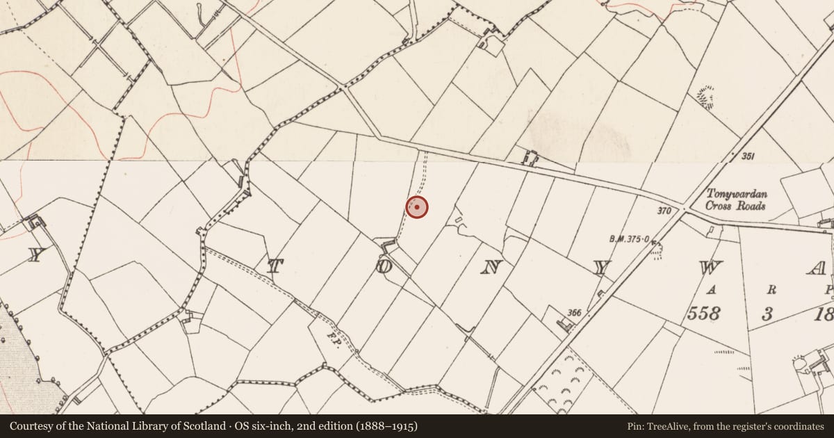 Ordnance Survey six-inch map, 2nd edition (1888–1915) covering the location of Ringfort - rath, Tonywardan, County Longford, with a pin at the register's coordinates