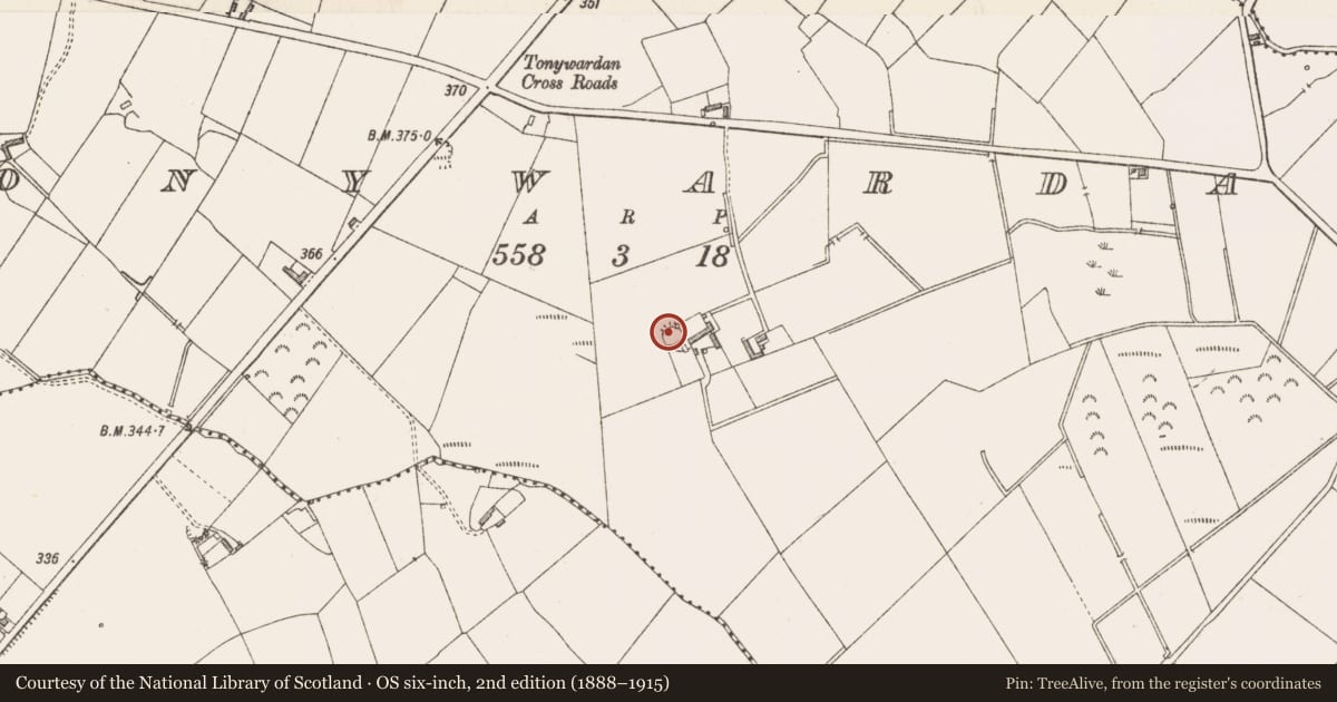 Ordnance Survey six-inch map, 2nd edition (1888–1915) covering the location of Designed landscape feature, Tonywardan, County Longford, with a pin at the register's coordinates