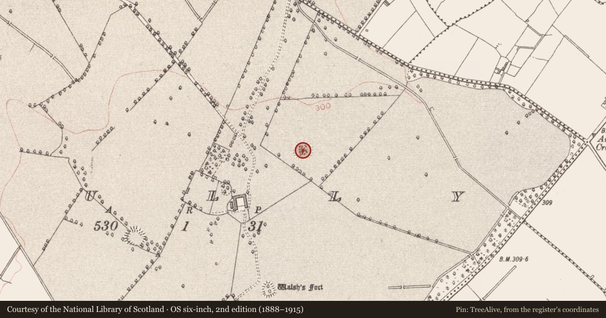 Ordnance Survey six-inch map, 2nd edition (1888–1915) covering the location of House - indeterminate date, Tully, County Longford, with a pin at the register's coordinates