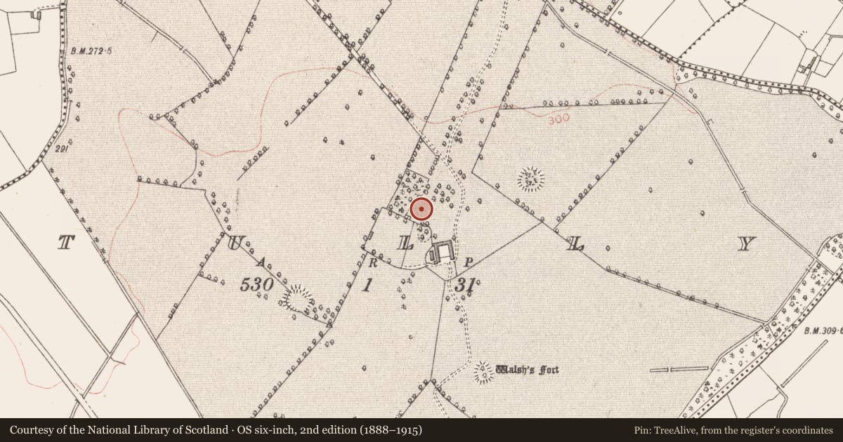 Ordnance Survey six-inch map, 2nd edition (1888–1915) covering the location of Castle - unclassified, Tully, County Longford, with a pin at the register's coordinates