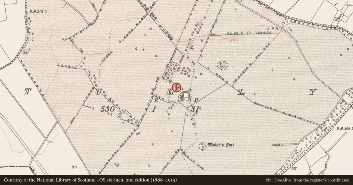 Ordnance Survey six-inch map, 2nd edition (1888–1915) covering the location of Castle - motte and bailey, Tully, County Longford, with a pin at the register's coordinates