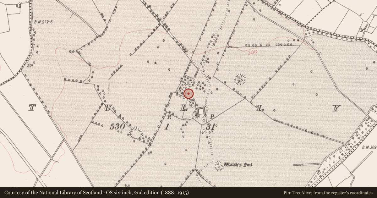 Ordnance Survey six-inch map, 2nd edition (1888–1915) covering the location of Bawn, Tully, County Longford, with a pin at the register's coordinates