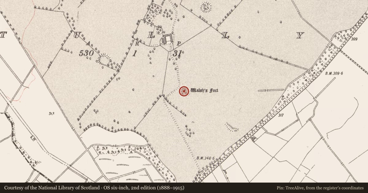 Ordnance Survey six-inch map, 2nd edition (1888–1915) covering the location of Ringfort - rath, Tully, County Longford, with a pin at the register's coordinates