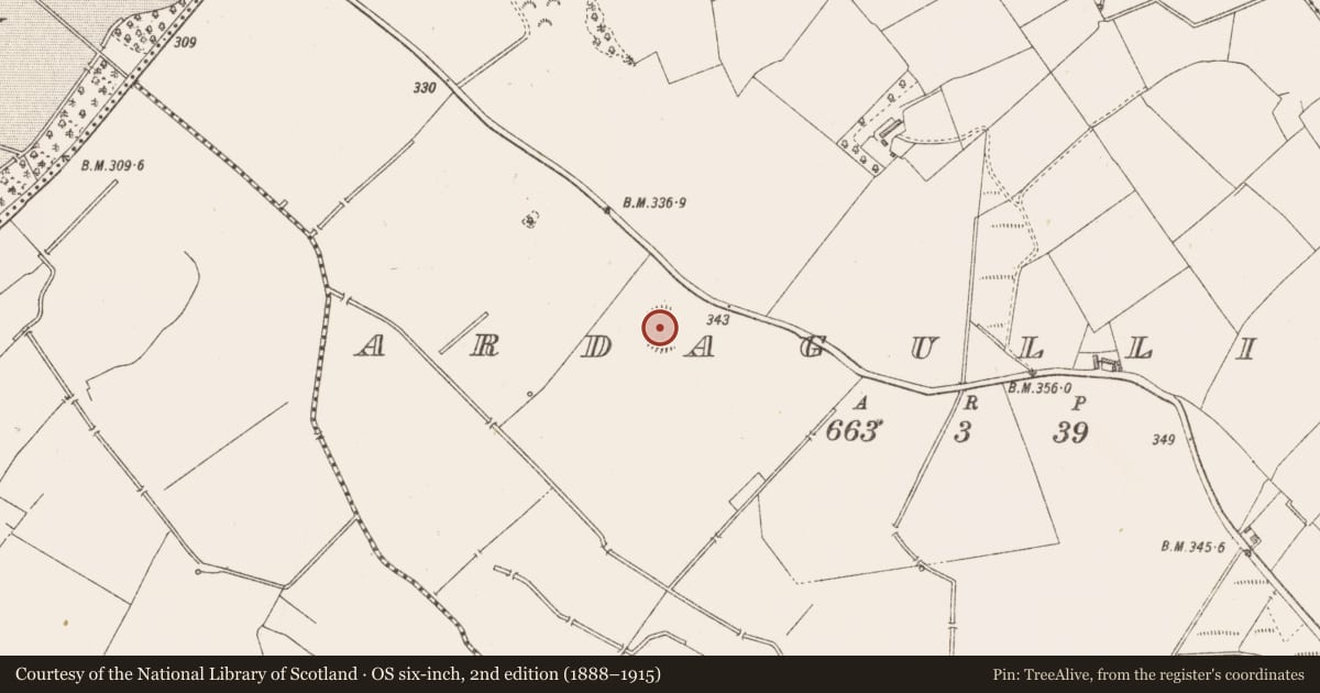 Ordnance Survey six-inch map, 2nd edition (1888–1915) covering the location of Ringfort - rath, Ardagullion, County Longford, with a pin at the register's coordinates