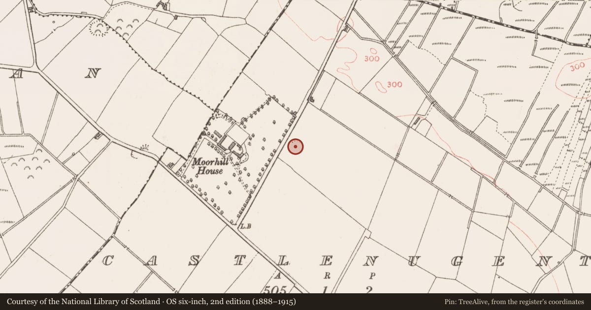 Ordnance Survey six-inch map, 2nd edition (1888–1915) covering the location of Ringfort - rath, Castlenugent, County Longford, with a pin at the register's coordinates