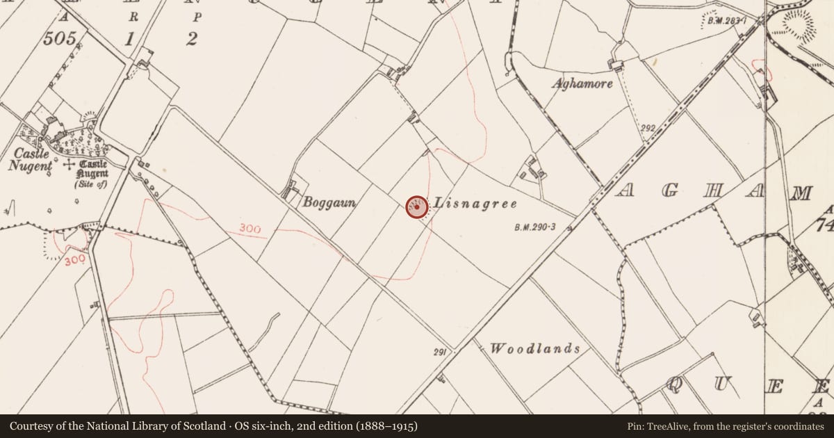 Ordnance Survey six-inch map, 2nd edition (1888–1915) covering the location of Ringfort - rath, Castlenugent, County Longford, with a pin at the register's coordinates