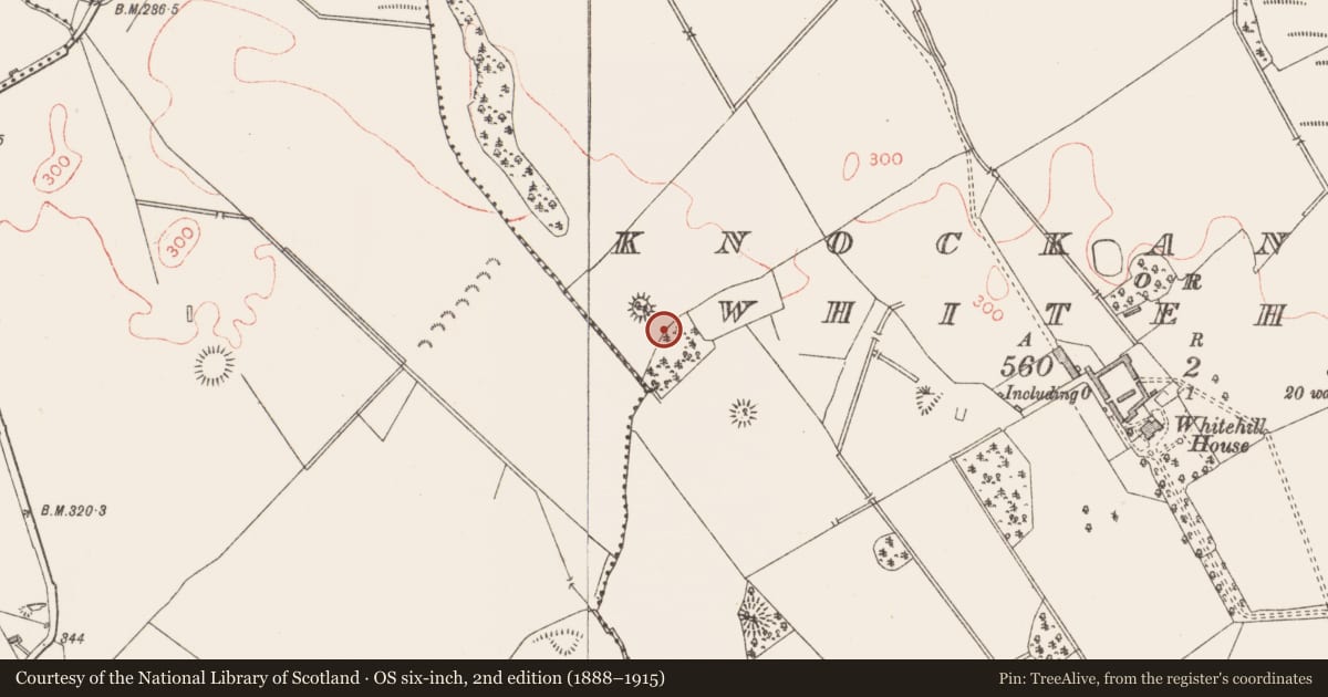 Ordnance Survey six-inch map, 2nd edition (1888–1915) covering the location of Barrow - ring-barrow, Knockanbaun Or Whitehill, County Longford, with a pin at the register's coordinates