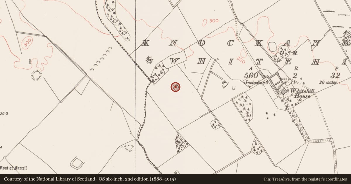 Ordnance Survey six-inch map, 2nd edition (1888–1915) covering the location of Designed landscape - tree-ring, Knockanbaun Or Whitehill, County Longford, with a pin at the register's coordinates