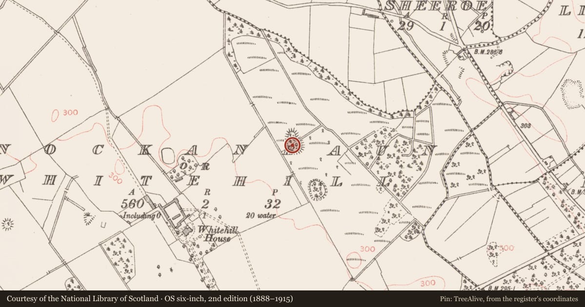 Ordnance Survey six-inch map, 2nd edition (1888–1915) covering the location of Enclosure, Knockanbaun Or Whitehill, County Longford, with a pin at the register's coordinates