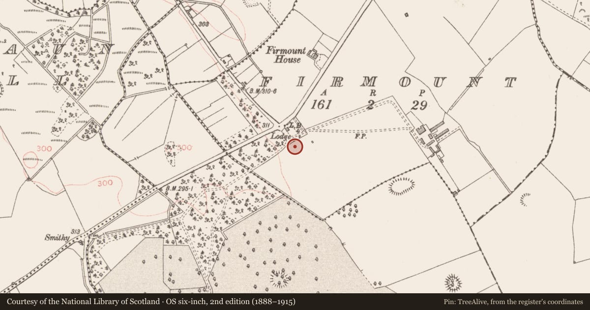 Ordnance Survey six-inch map, 2nd edition (1888–1915) covering the location of Designed landscape - tree-ring, Firmount, County Longford, with a pin at the register's coordinates