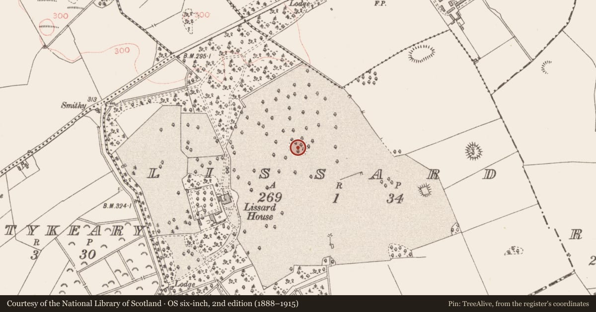 Ordnance Survey six-inch map, 2nd edition (1888–1915) covering the location of Designed landscape - tree-ring, Lissard, County Longford, with a pin at the register's coordinates