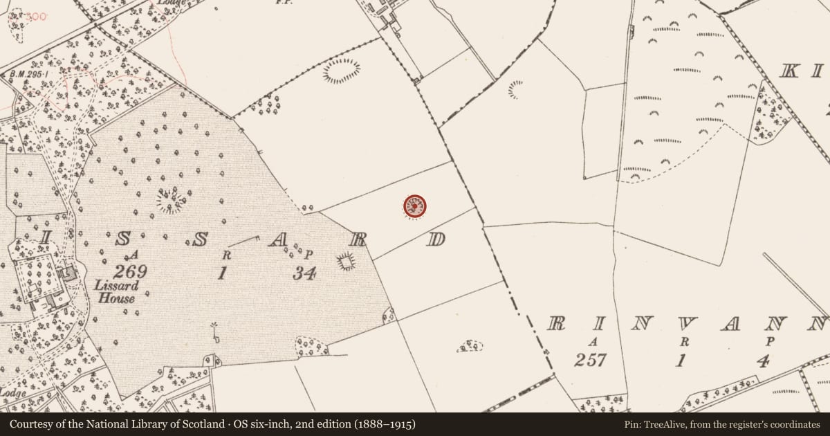 Ordnance Survey six-inch map, 2nd edition (1888–1915) covering the location of Designed landscape - tree-ring, Lissard, County Longford, with a pin at the register's coordinates