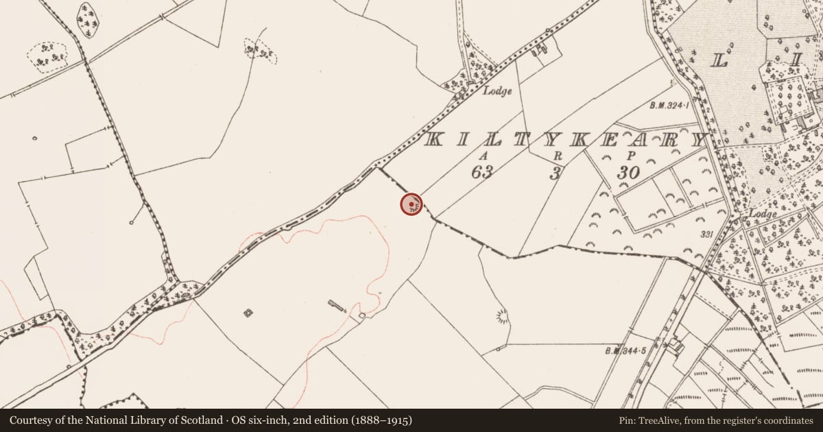 Ordnance Survey six-inch map, 2nd edition (1888–1915) covering the location of Enclosure, Cartronreagh, County Longford, with a pin at the register's coordinates