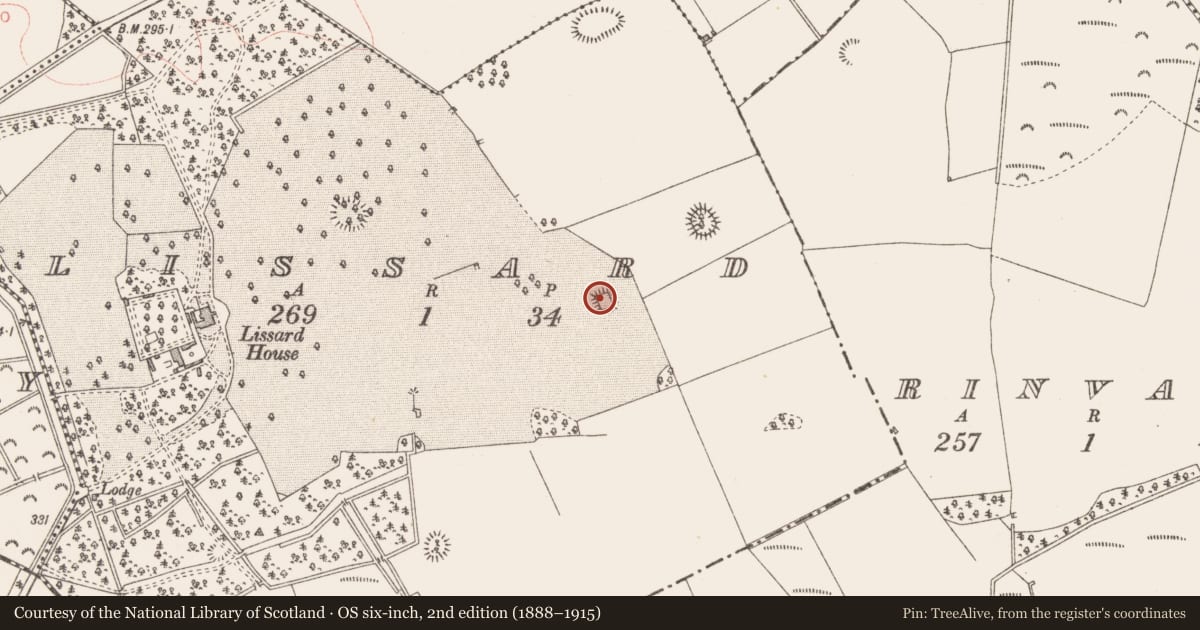 Ordnance Survey six-inch map, 2nd edition (1888–1915) covering the location of Designed landscape - tree-ring, Lissard, County Longford, with a pin at the register's coordinates