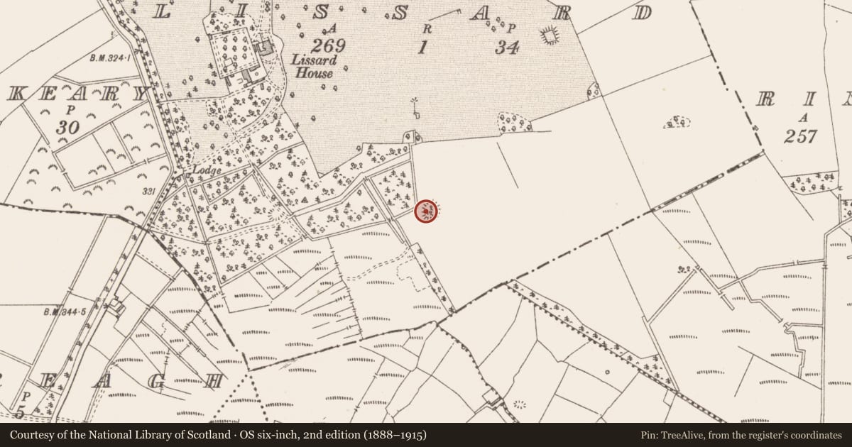 Ordnance Survey six-inch map, 2nd edition (1888–1915) covering the location of Ringfort - rath, Lissard, County Longford, with a pin at the register's coordinates
