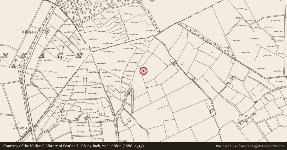 Ordnance Survey six-inch map, 2nd edition (1888–1915) covering the location of Ringfort - rath, Lisnageeragh, County Longford, with a pin at the register's coordinates
