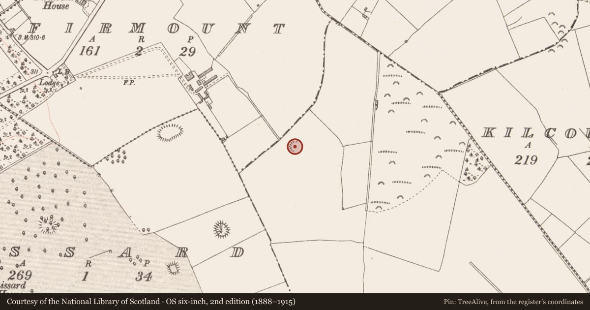 Ordnance Survey six-inch map, 2nd edition (1888–1915) covering the location of Ringfort - rath, Rinvanny, County Longford, with a pin at the register's coordinates