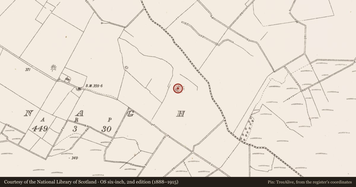 Ordnance Survey six-inch map, 2nd edition (1888–1915) covering the location of Ringfort - rath, Asnagh, County Longford, with a pin at the register's coordinates