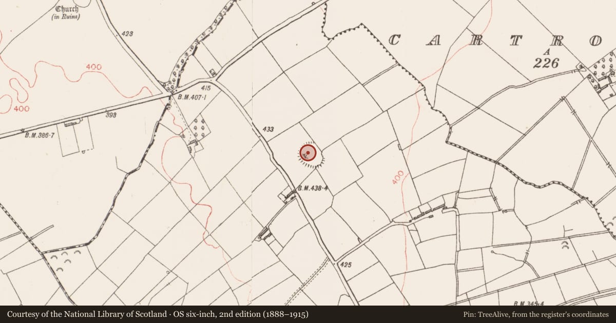 Ordnance Survey six-inch map, 2nd edition (1888–1915) covering the location of Castle - ringwork, Bracklon, County Longford, with a pin at the register's coordinates