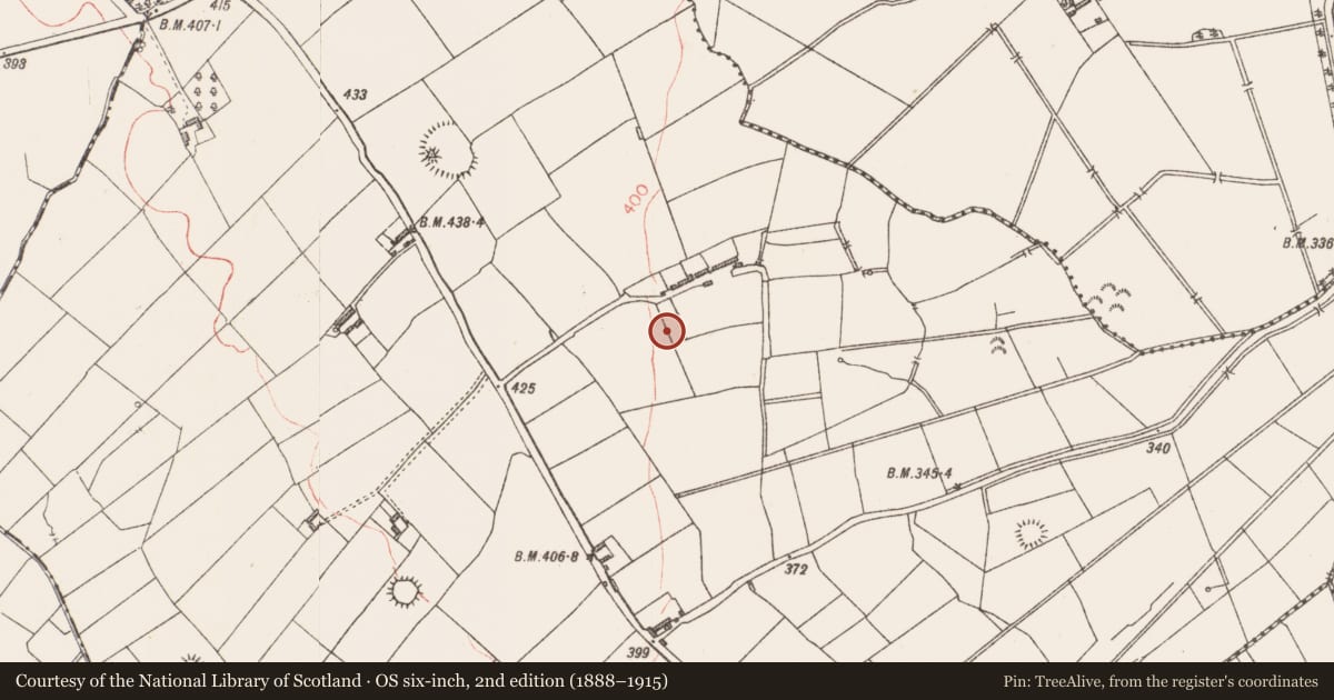 Ordnance Survey six-inch map, 2nd edition (1888–1915) covering the location of Ringfort - rath, Bracklon, County Longford, with a pin at the register's coordinates