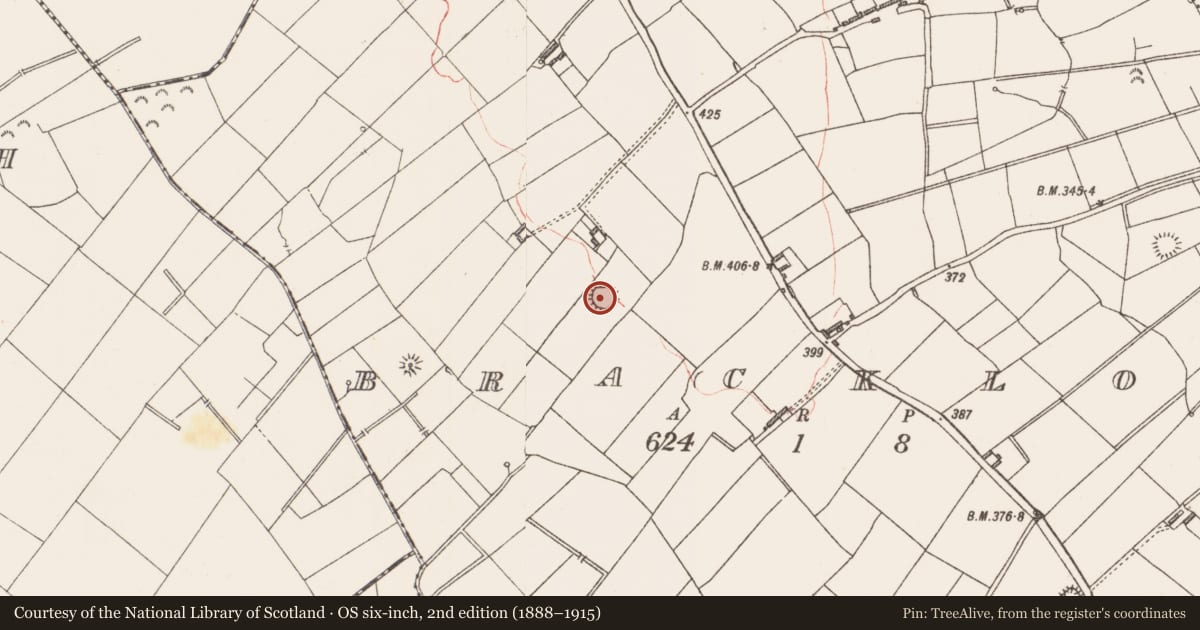 Ordnance Survey six-inch map, 2nd edition (1888–1915) covering the location of Ringfort - rath, Bracklon, County Longford, with a pin at the register's coordinates