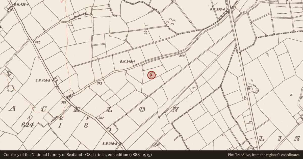 Ordnance Survey six-inch map, 2nd edition (1888–1915) covering the location of Ringfort - rath, Bracklon, County Longford, with a pin at the register's coordinates
