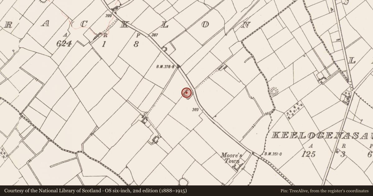 Ordnance Survey six-inch map, 2nd edition (1888–1915) covering the location of Ringfort - rath, Bracklon, County Longford, with a pin at the register's coordinates