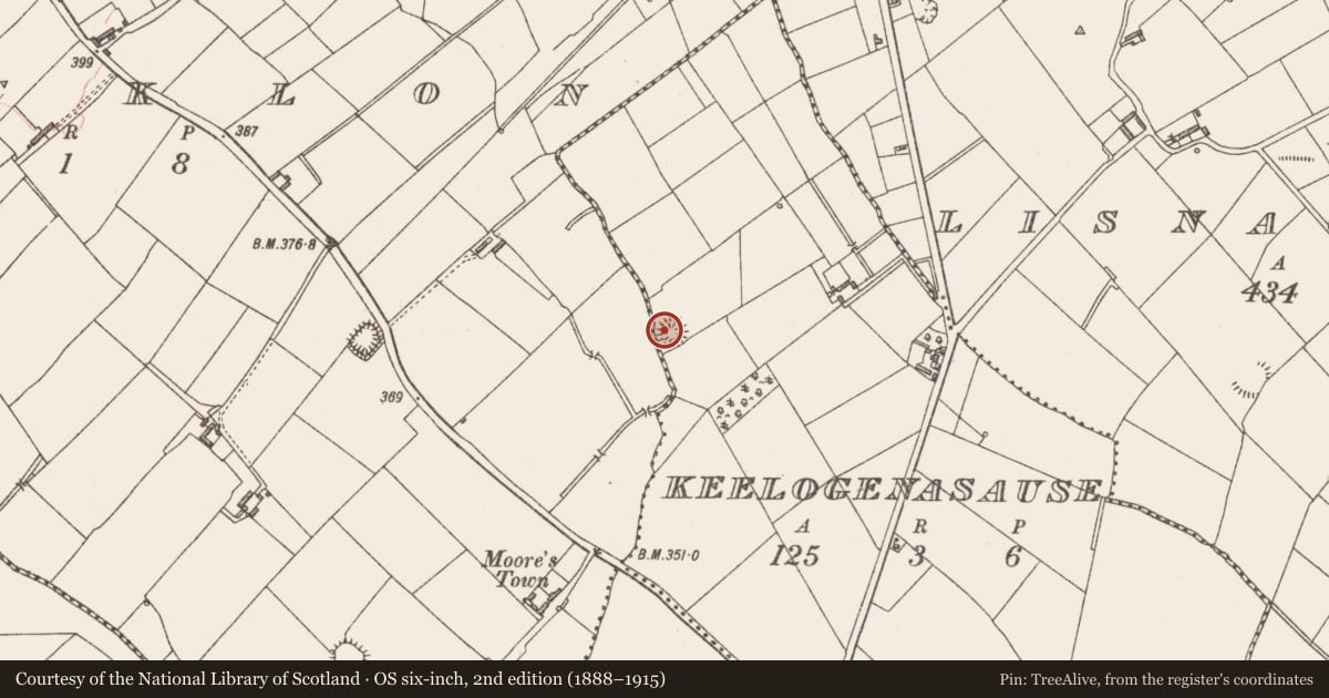 Ordnance Survey six-inch map, 2nd edition (1888–1915) covering the location of Ringfort - rath, Keelogenasause, County Longford, with a pin at the register's coordinates
