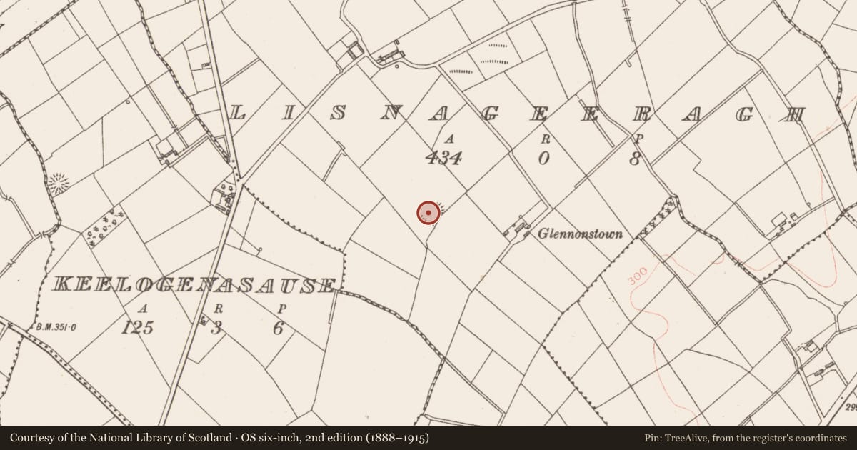 Ordnance Survey six-inch map, 2nd edition (1888–1915) covering the location of Ringfort - rath, Lisnageeragh, County Longford, with a pin at the register's coordinates