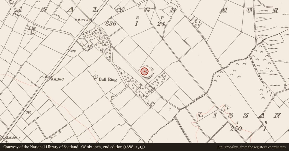 Ordnance Survey six-inch map, 2nd edition (1888–1915) covering the location of Enclosure, Cranalagh More, County Longford, with a pin at the register's coordinates