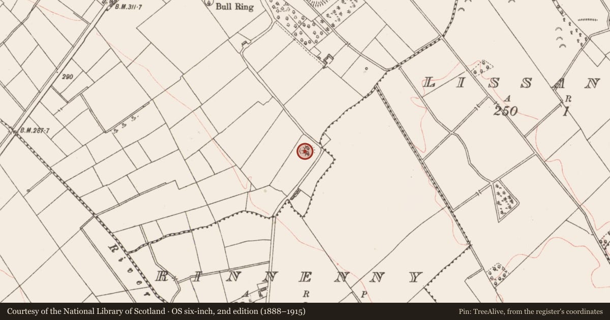 Ordnance Survey six-inch map, 2nd edition (1888–1915) covering the location of Ringfort - rath, Cranalagh More, County Longford, with a pin at the register's coordinates