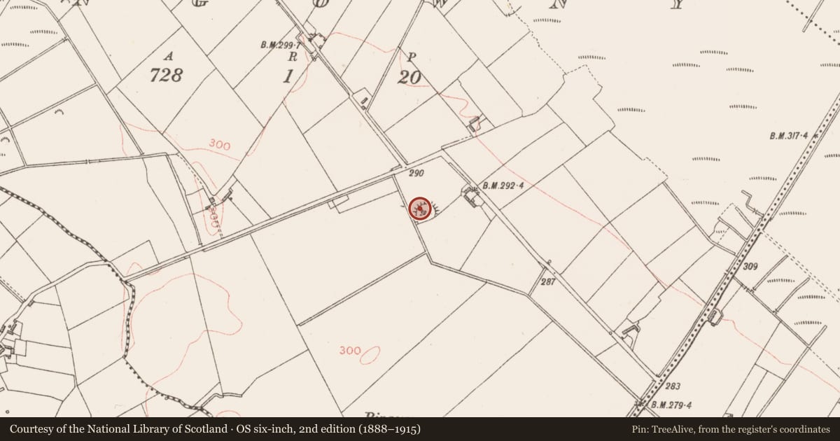 Ordnance Survey six-inch map, 2nd edition (1888–1915) covering the location of Ringfort - rath, Ringowny, County Longford, with a pin at the register's coordinates
