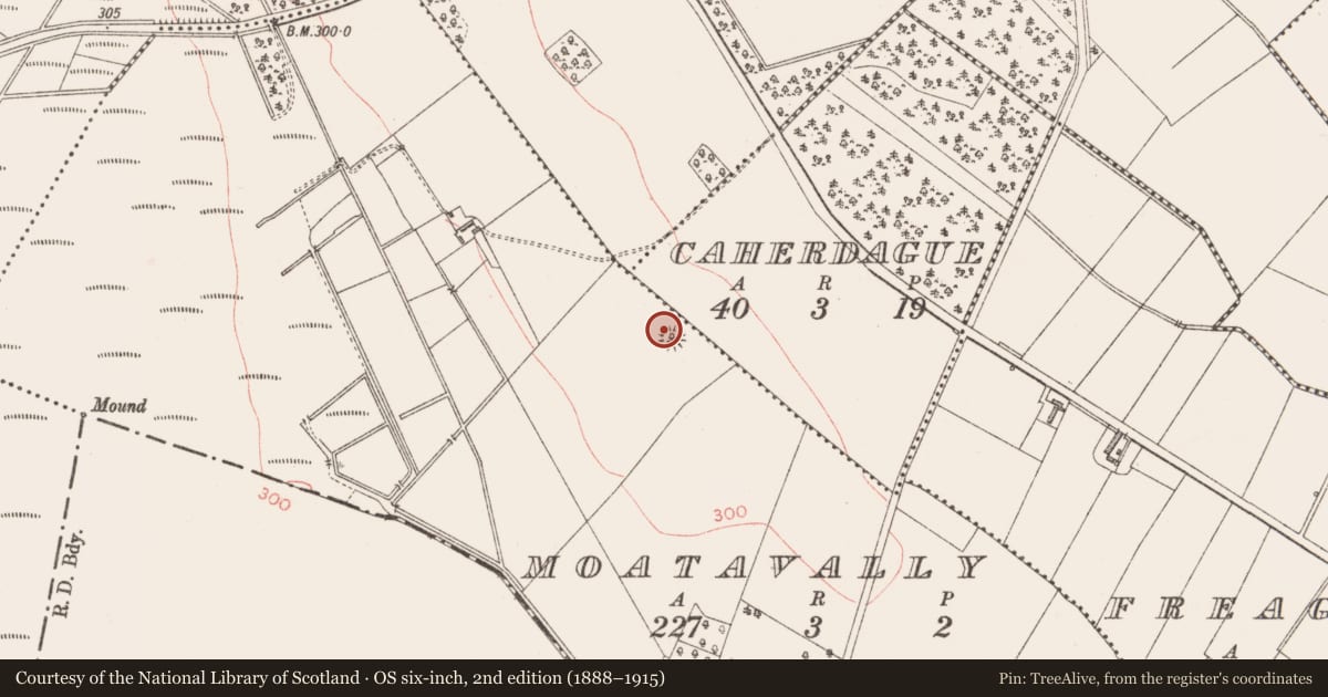 Ordnance Survey six-inch map, 2nd edition (1888–1915) covering the location of Castle - motte, Moatavally, County Longford, with a pin at the register's coordinates