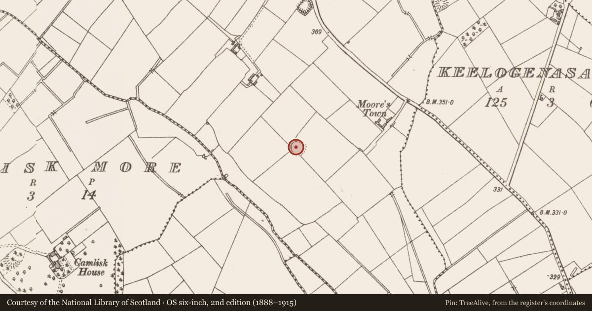 Ordnance Survey six-inch map, 2nd edition (1888–1915) covering the location of Ringfort - rath, Bracklon, County Longford, with a pin at the register's coordinates