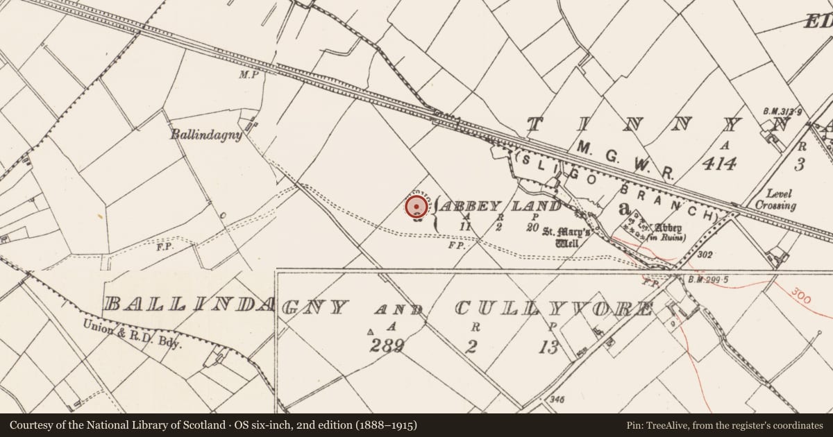 Ordnance Survey six-inch map, 2nd edition (1888–1915) covering the location of Ringfort - rath, Ballindagny And Cullyvore, County Longford, with a pin at the register's coordinates