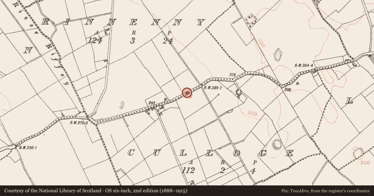 Ordnance Survey six-inch map, 2nd edition (1888–1915) covering the location of Ringfort - rath, Culloge, Rinnenny, County Longford, with a pin at the register's coordinates
